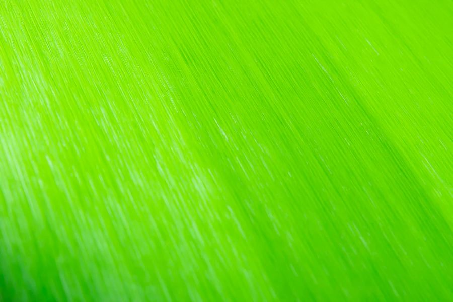 Crazy Fly Raptor LTD Nano Glide Skin